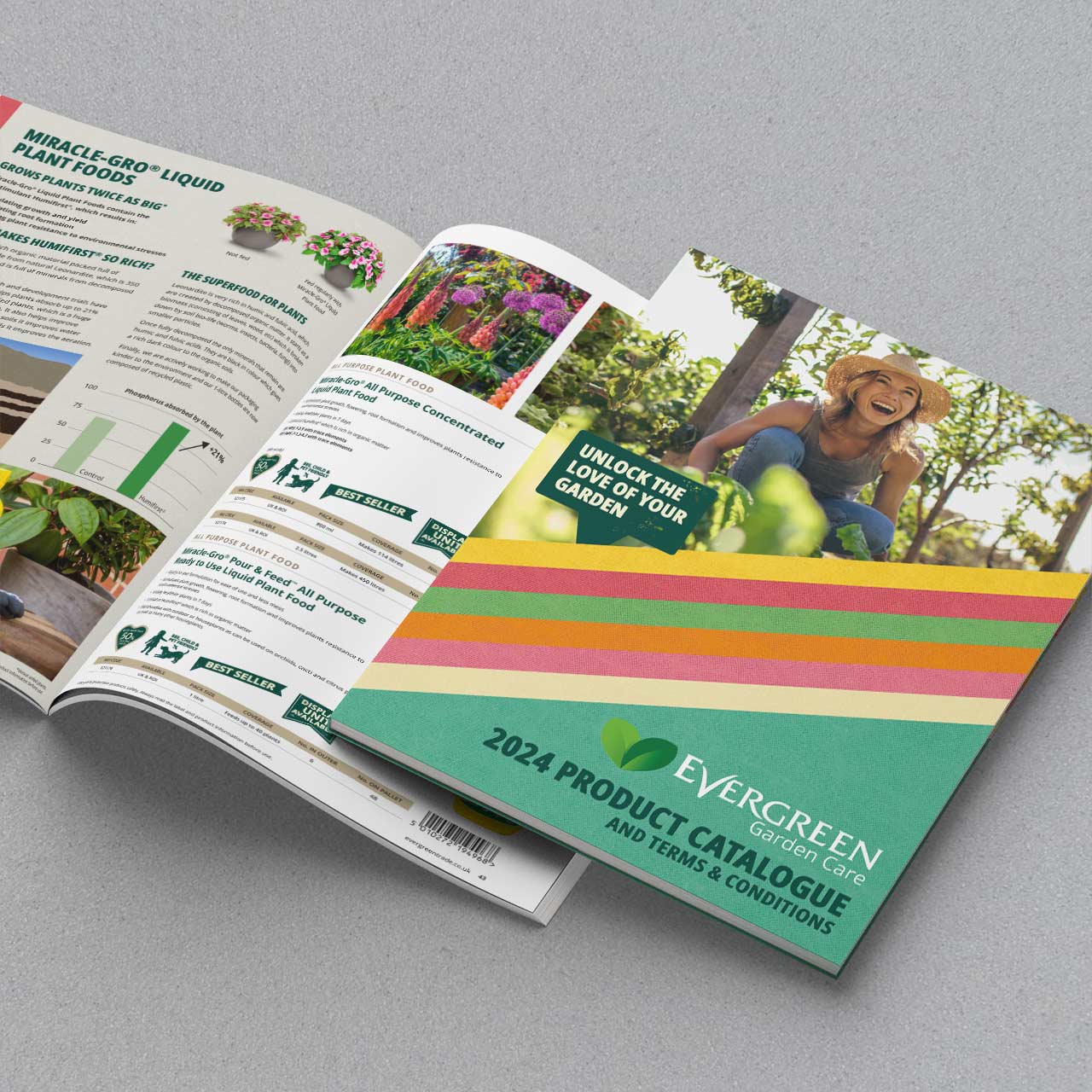 Brochure and catalogue design